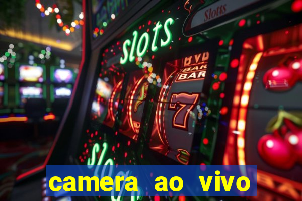 camera ao vivo terminal vila nova cachoeirinha